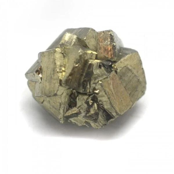 AGC11